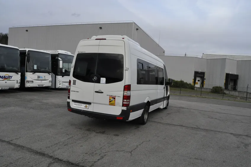 Mercedes Mercedes 513 CDI 
