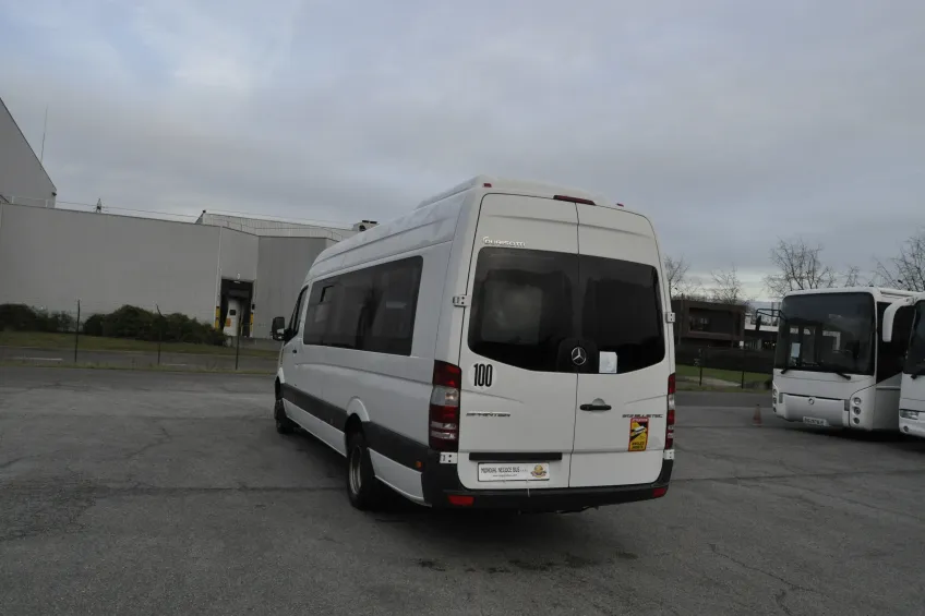 Mercedes Mercedes 513 CDI 