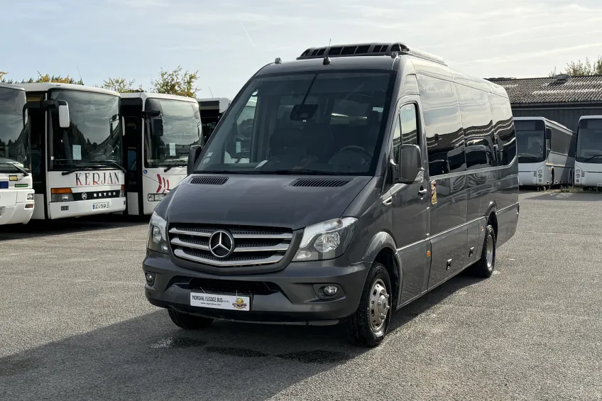 Mercedes Mercedes Erener Sprinter 519 CDI